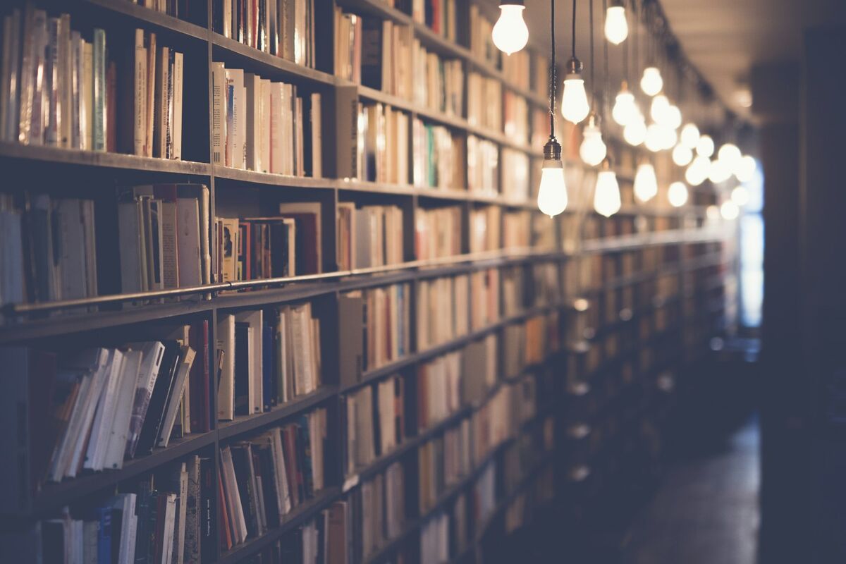 Estanterías de una biblioteca que representan el trabajo lingüístico en muchos libros y dominios